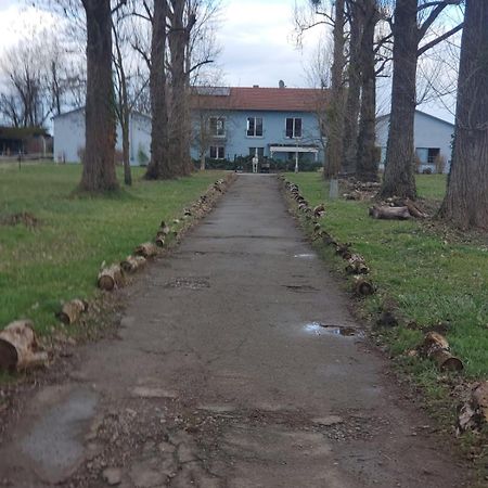 Grosse 3 Zi Wohnung Auf Der Pferde Farm Lahr  Exterior foto