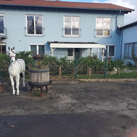 Grosse 3 Zi Wohnung Auf Der Pferde Farm Lahr  Exterior foto