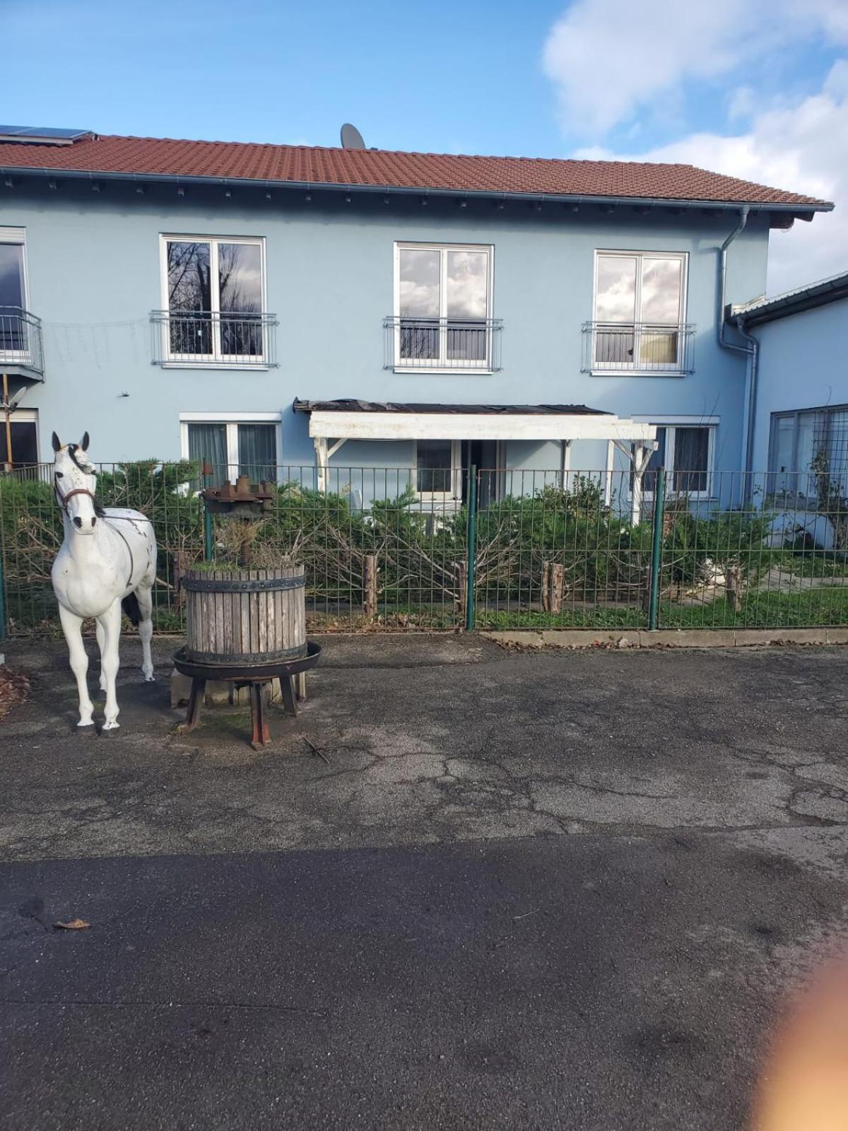 Grosse 3 Zi Wohnung Auf Der Pferde Farm Lahr  Exterior foto